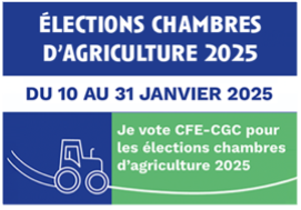 Election chambres 2025