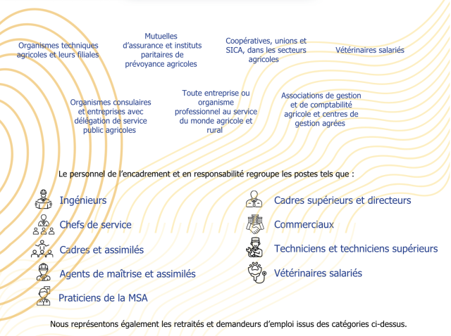 Qui sommes nous